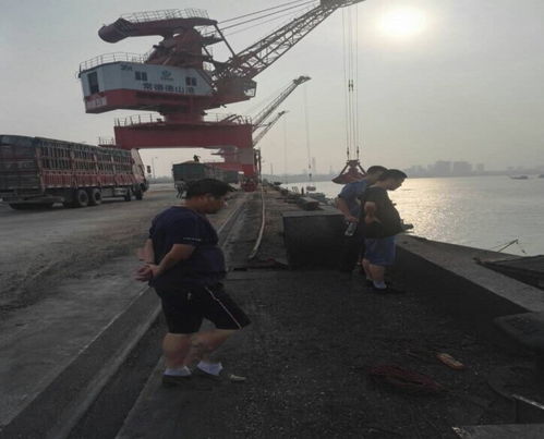 市交通運(yùn)輸局赴岳陽港、常德港考察學(xué)習(xí)碼頭建設(shè)與管理經(jīng)驗