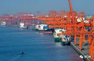 廈潮合建碼頭雛形初現(xiàn)，助力區(qū)域協(xié)同發(fā)展計(jì)劃明年上半年投用